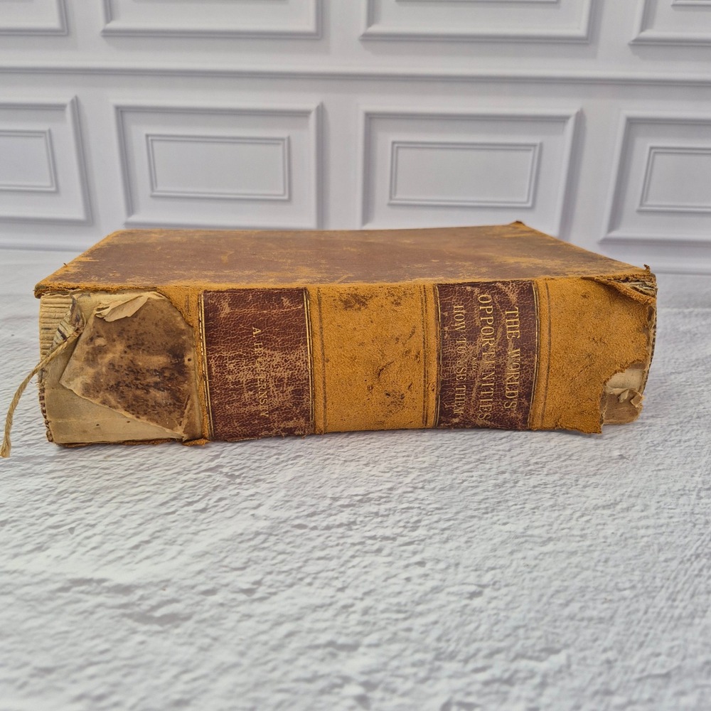 The Worlds Opportunities and How to Use Them Alfred Hudson Guernsey Antique Book - Picture 6 of 16